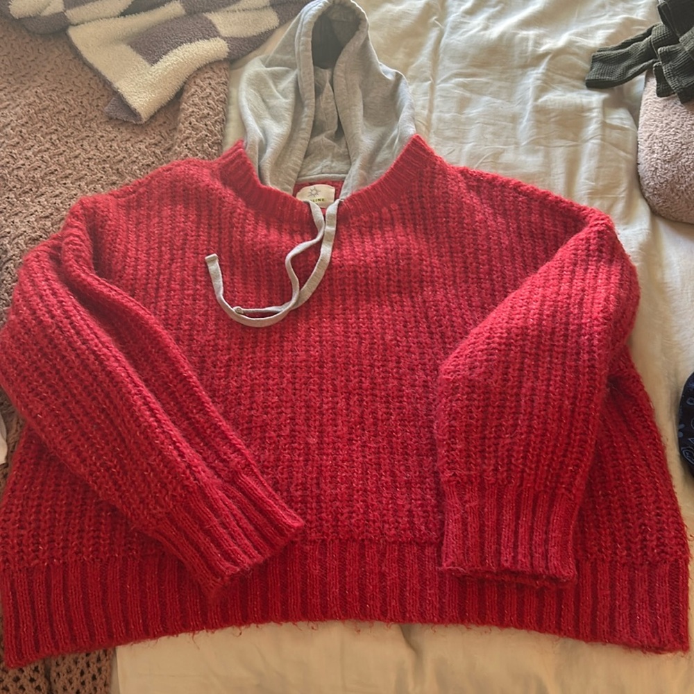 Aerie sweater - Size Large - Great Condition!